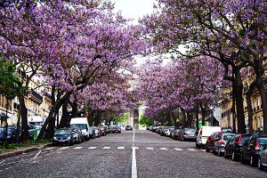 serrurier Paris 17e Arrondissement